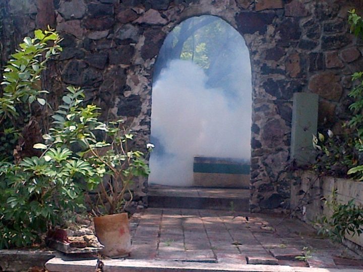 FUMIGACIÓN EN CASA HABITACIÓN